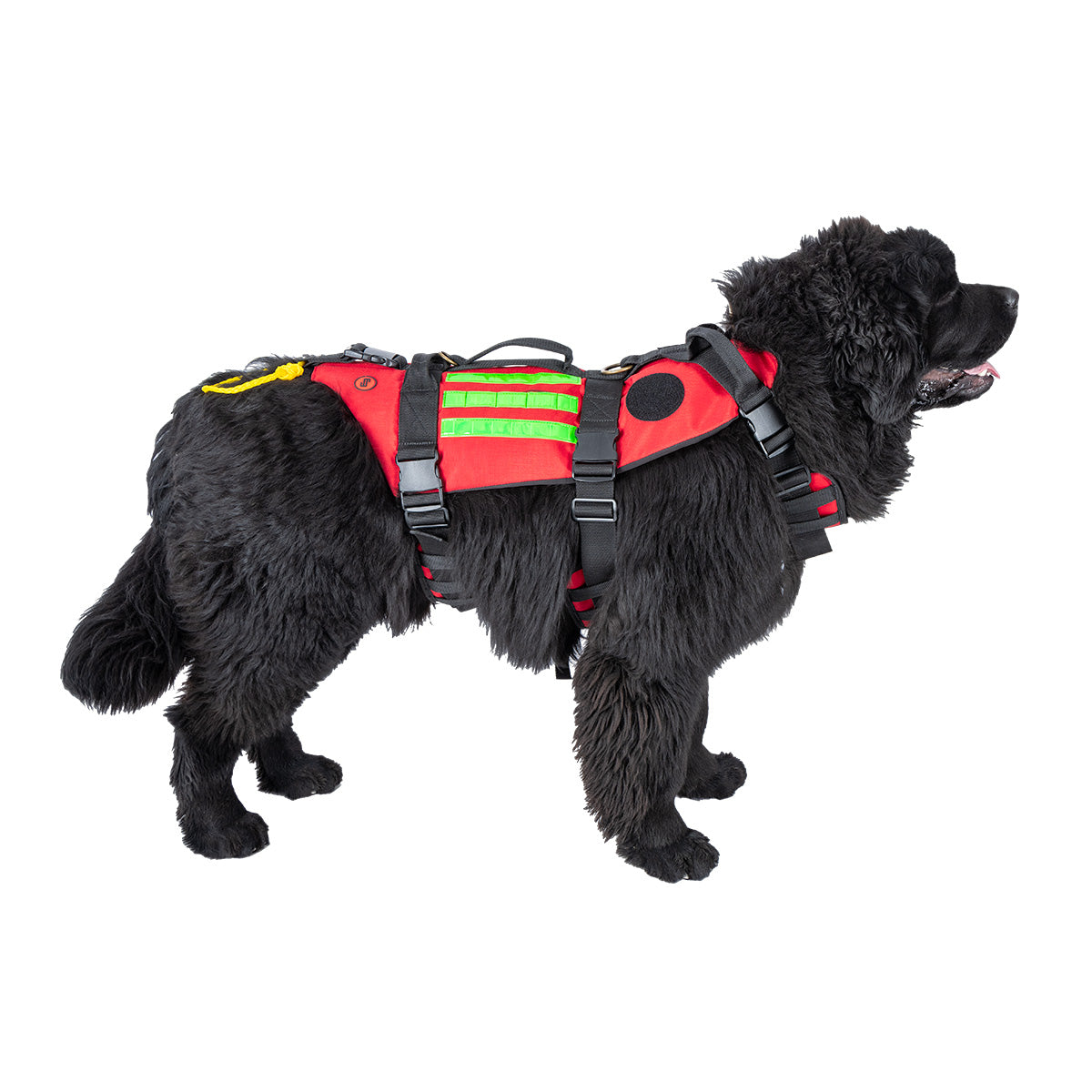 RESCUE Canine Harness for Rescue Dogs