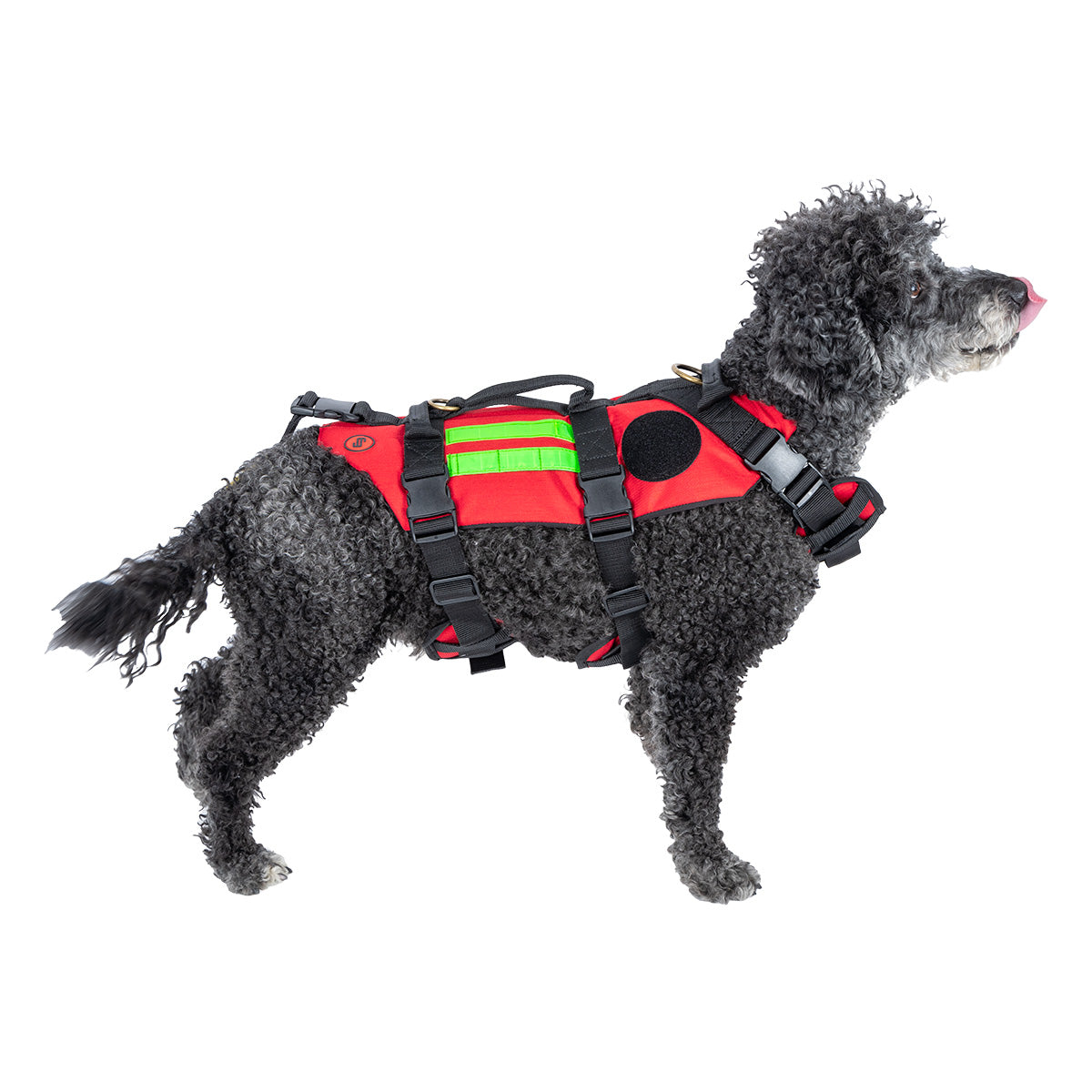 RESCUE Canine Harness for Rescue Dogs