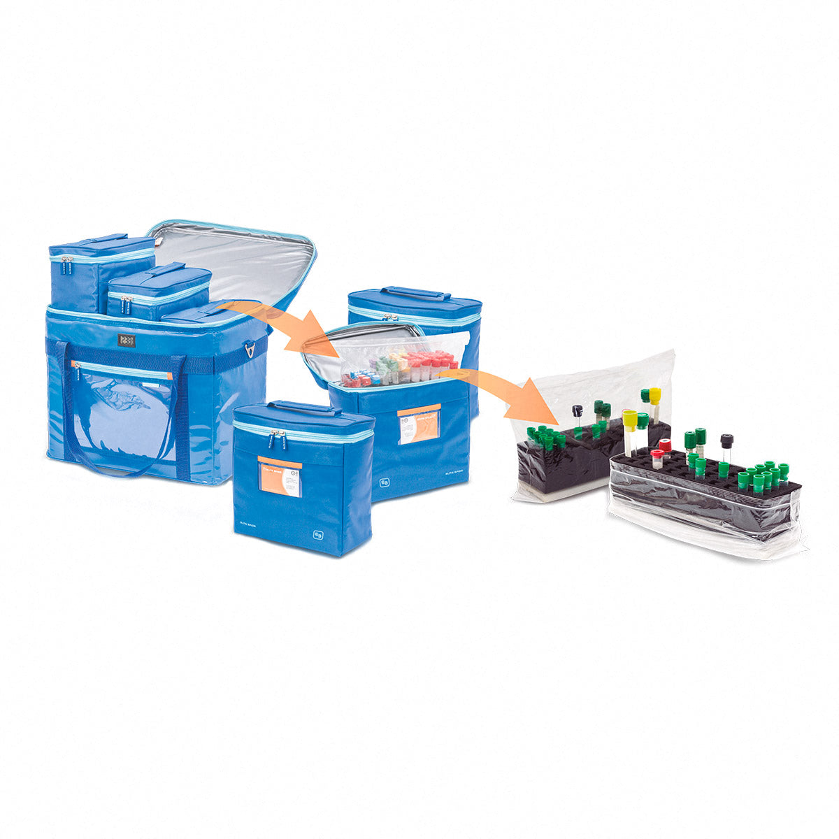 Elite COOL's Isothermal Bag for Sample Transportation