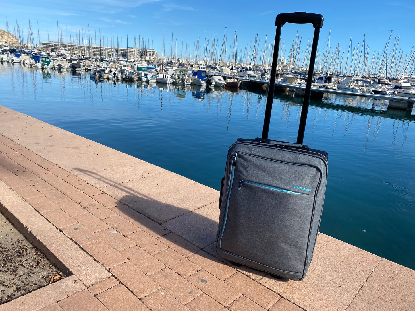 Elite Bags HOVI's Home Calls Trolley Bag