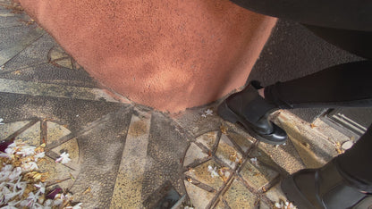 Elite DIABETICS Isothermal Bag for Diabetic’s Kit - Pink